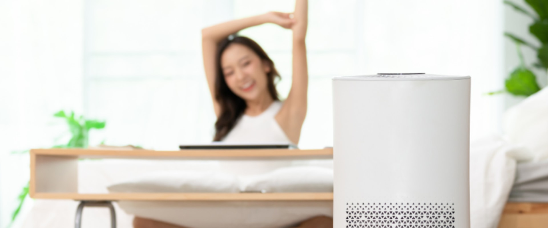 Are Air Filters Good for Allergies? An Expert's Perspective
