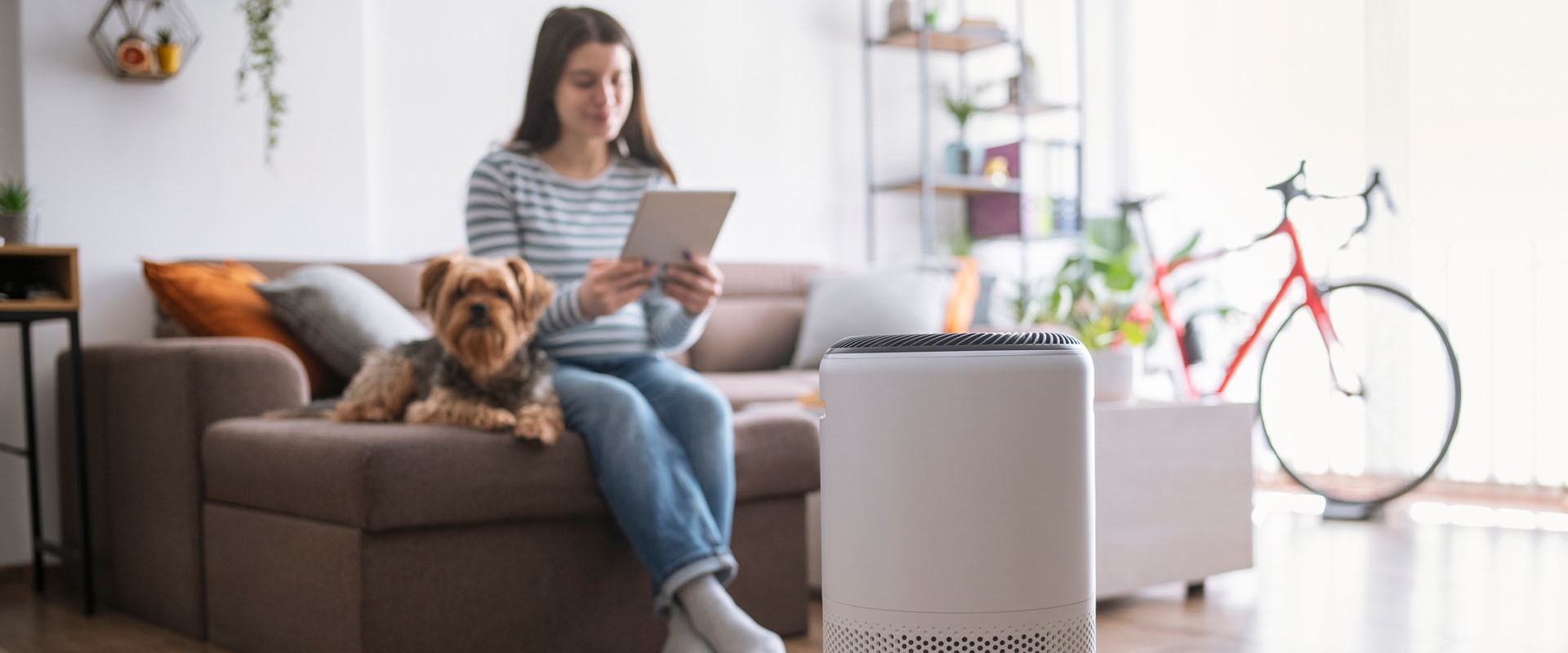 Where Should You Place an Air Purifier for Optimal Performance?