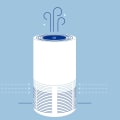 10 Reasons Why Everyone Needs an Air Purifier