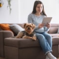 Where Should You Place an Air Purifier for Optimal Performance?