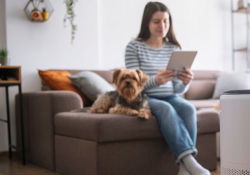 Where Should You Place an Air Purifier for Optimal Performance?